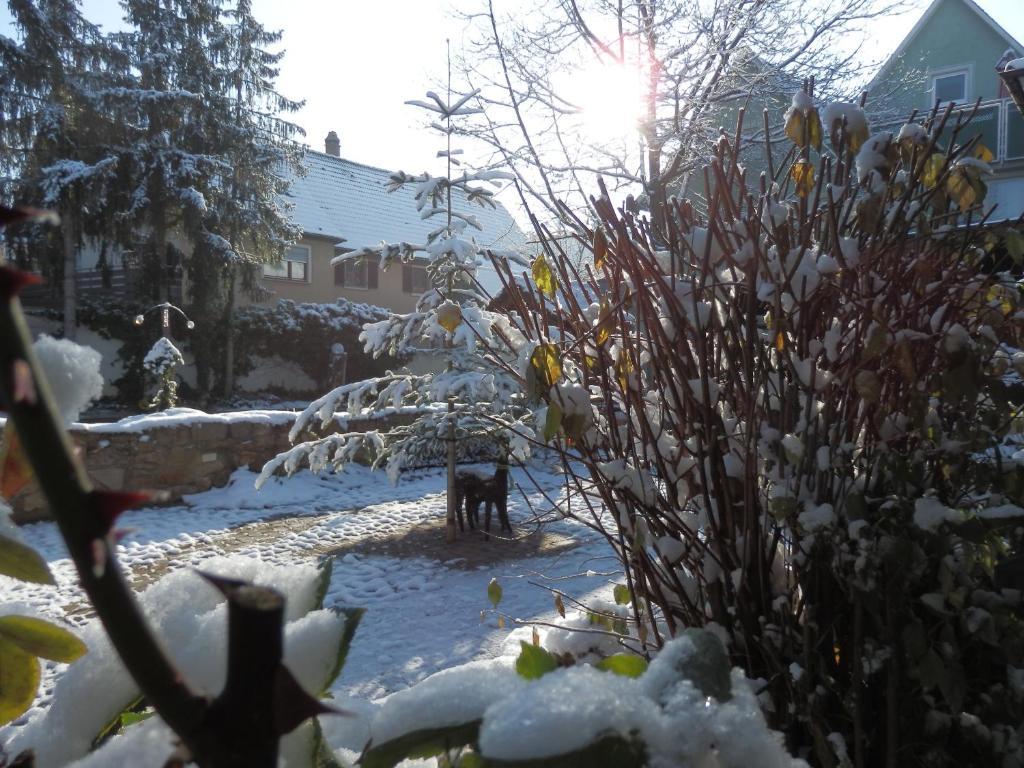 Gasthof Loewen, Heitersheim Esterno foto